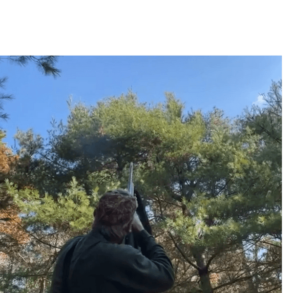 Sporting clays