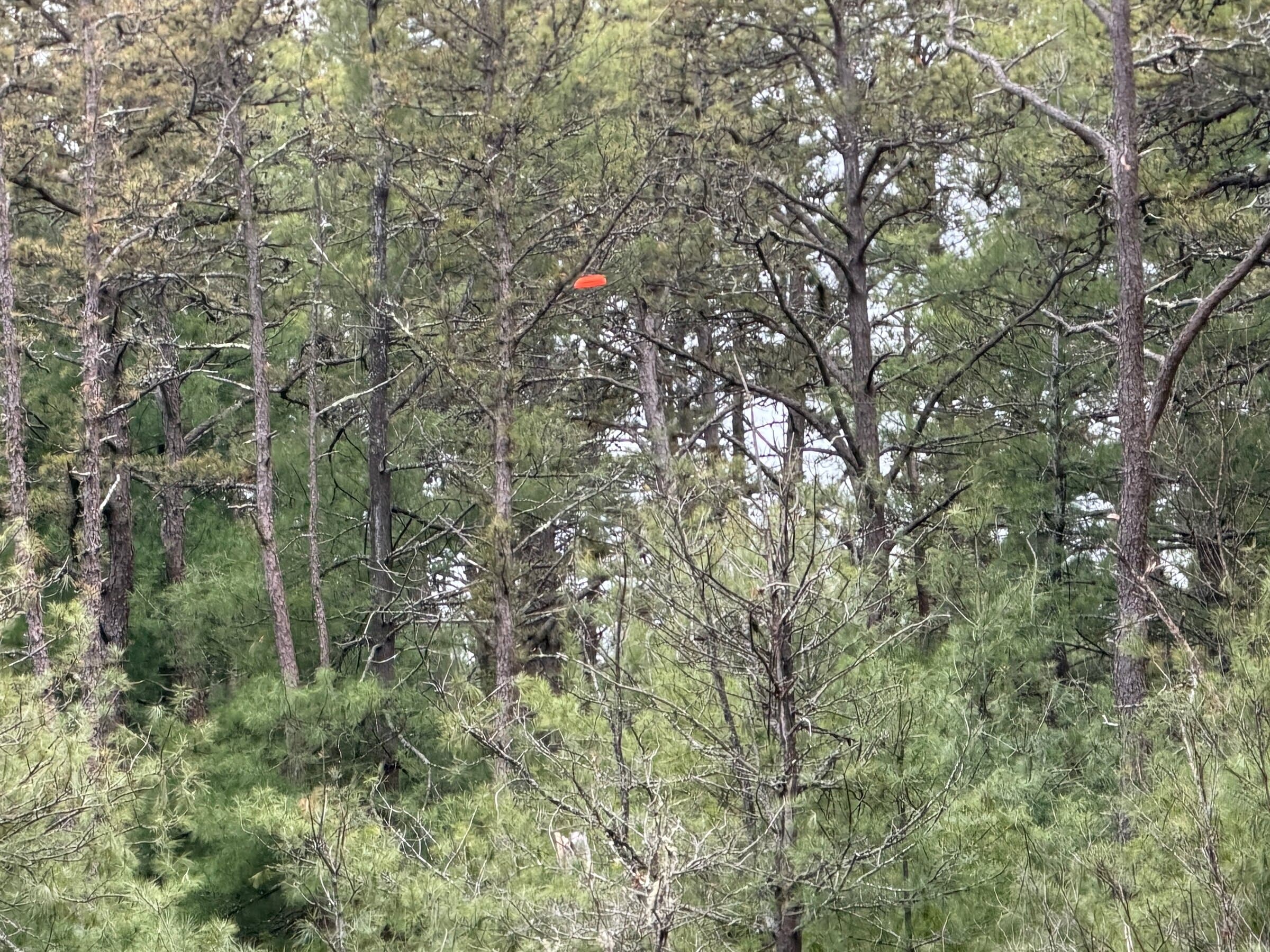 Sporting Clays · Spring 2026